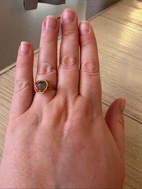Handmade Copper-Plated Wire-Wrap Ring with Faceted Labradorite | Size 10